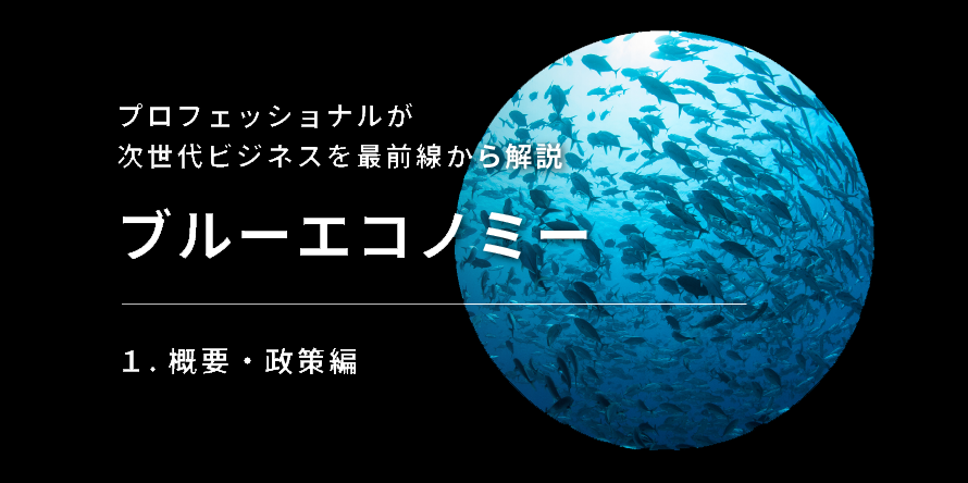 ブルーエコノミー概要政策編